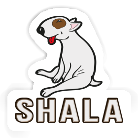 Sticker Shala Bull Terrier Image