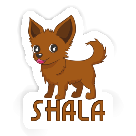 Sticker Shala Chihuahua Image