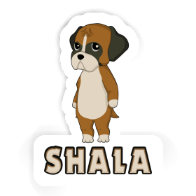 Boxer Sticker Shala Image