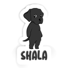 Labrador Retriever Sticker Shala Image