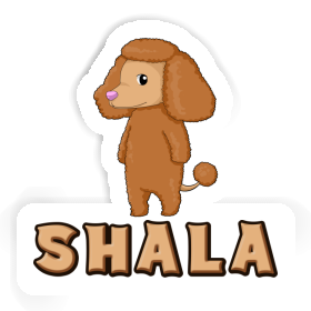 Pudel Sticker Shala Image