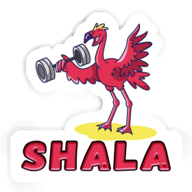 Weight Lifter Sticker Shala Image