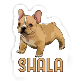 Bouledogue Autocollant Shala Image