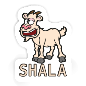 Shala Sticker Goat Image