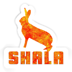 Rabbit Sticker Shala Image