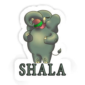 Sticker Shala Elephant Image