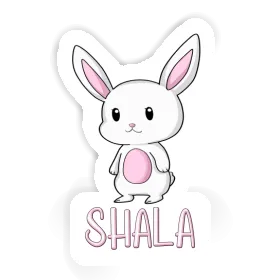 Autocollant Shala Lapin Image