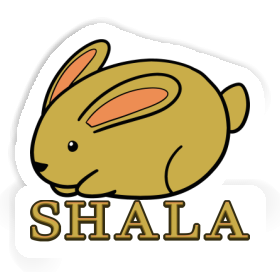 Rabbit Sticker Shala Image