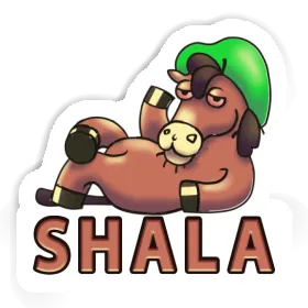 Lying horse Sticker Shala Image