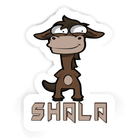 Ross Sticker Shala Image