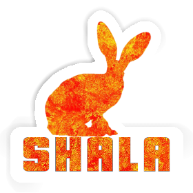 Rabbit Sticker Shala Image