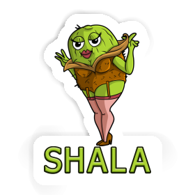 Kiwi Sticker Shala Image