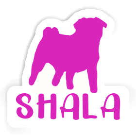 Sticker Pug Shala Image