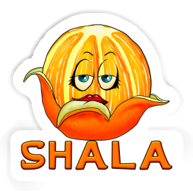 Orange Sticker Shala Image