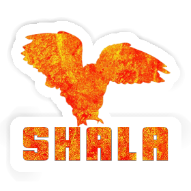 Sticker Shala Owl Image