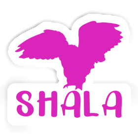 Sticker Owl Shala Image