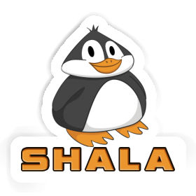 Sticker Shala Penguin Image