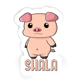 Shala Sticker Pigg Image