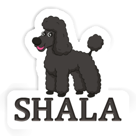 Sticker Poodle Shala Image