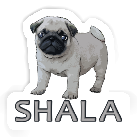 Sticker Shala Pug Image