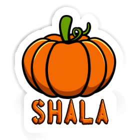 Sticker Pumpkin Shala Image