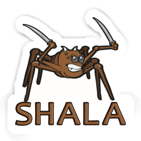 Shala Sticker Spider Image