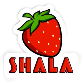 Autocollant Shala Fraise Image