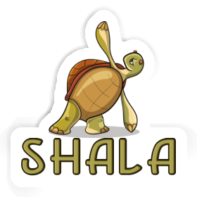 Shala Sticker Turtle Image