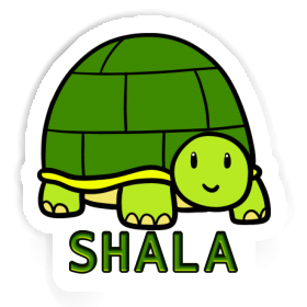 Autocollant Tortue Shala Image