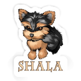 Shala Autocollant Terrier Image