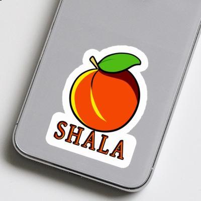 Sticker Shala Aprikose Notebook Image