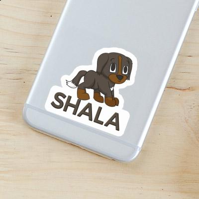 Shala Sticker Bernese Dog Notebook Image