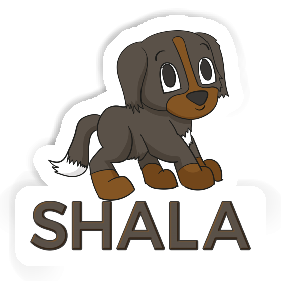 Shala Sticker Bernese Dog Gift package Image