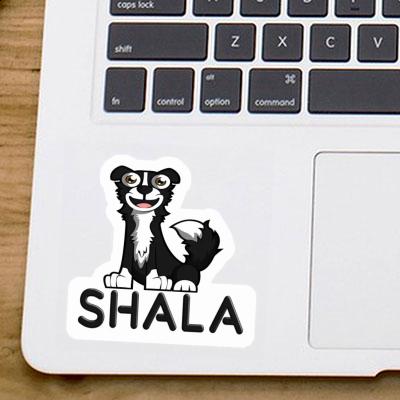 Autocollant Shala Collie Notebook Image