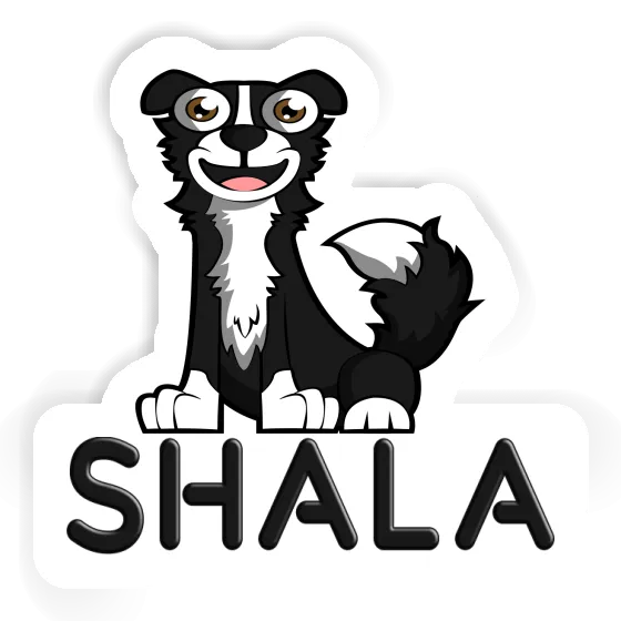 Sticker Border Collie Shala Laptop Image