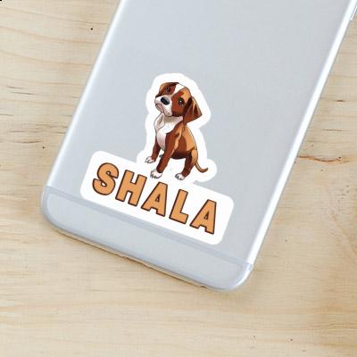 Autocollant Boxer Shala Laptop Image