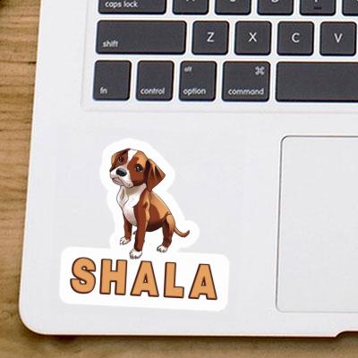 Sticker Boxerhund Shala Gift package Image