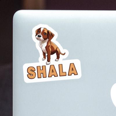 Sticker Boxer Dog Shala Image