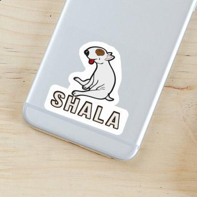 Bull Terrier Sticker Shala Image