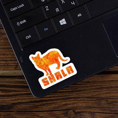 Shala Sticker Cat Image