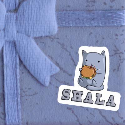 Autocollant Chat Shala Gift package Image