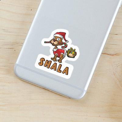 Sticker Christmas Cat Shala Gift package Image