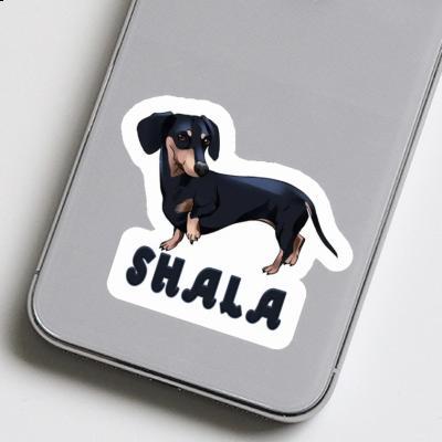 Sticker Dachshund Shala Image