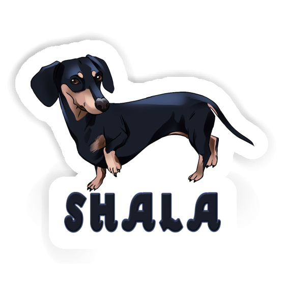 Sticker Dachshund Shala Gift package Image