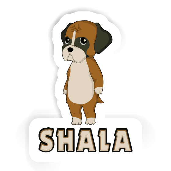 Boxer Sticker Shala Gift package Image