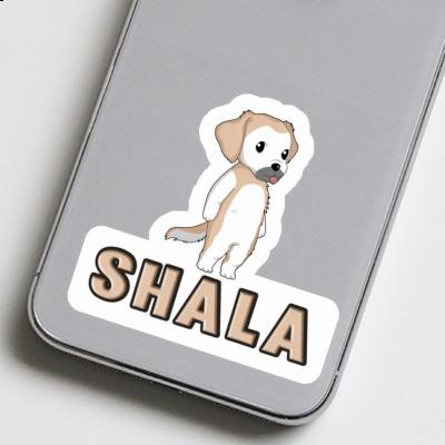 Shala Autocollant Golden Retriever Gift package Image