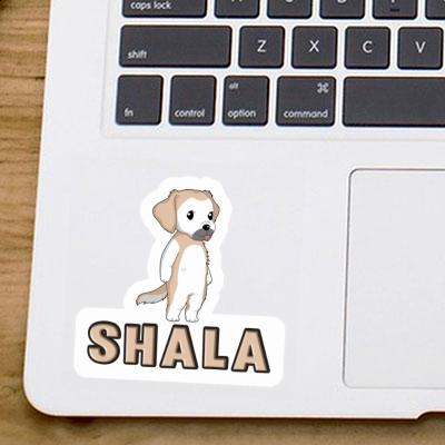 Golden Yellow Sticker Shala Laptop Image