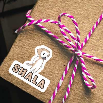 Shala Autocollant Golden Retriever Notebook Image