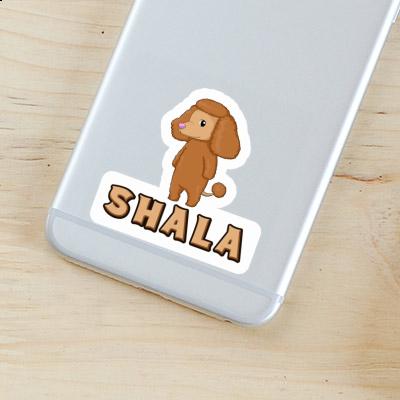 Shala Sticker Poodle Image