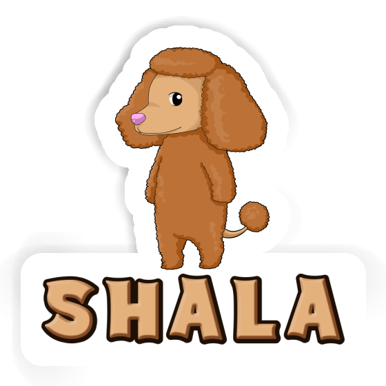 Shala Autocollant Caniche Image